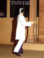 Two Face (Batman - Legends of the Dark Knight) Custom Action Figure