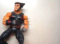 AOA Weapon X (Wolverine) (Marvel Legends) Custom Action Figure