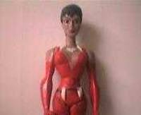 Vixen (Justice League Unlimited) Custom Action Figure