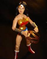 Diana Prince: Wonder Woman (Wonder Woman) Custom Action Figure