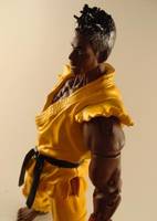 Sean (Street Fighter) Custom Action Figure