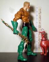 Aqua Man (Marvel Icon) Custom Action Figure
