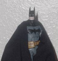 Batman (Batman) Custom Action Figure