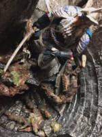 Galdfinn ; Champion of the Gray Havens (Lord of the Rings) Custom Action Figure