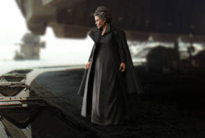 General Leia Organa (SW The Last Jedi) (Star Wars) Custom Action Figure