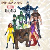 Karnak (The Inhumans) (Marvel Legends) Custom Action Figure [The Inhumans]