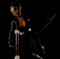 Catwoman (Batman) Custom Action Figure
