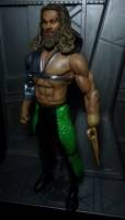 DC Direct aquaman (DC Direct) Custom Action Figure