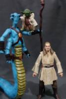 N'kata Del Gormo (Star Wars) Custom Action Figure