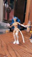 felicia (Marvel vs Capcom) Custom Action Figure