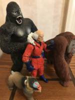 Red Ghost (Marvel Legends) Custom Action Figure