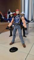 Stallion (DC Universe) Custom Action Figure