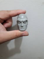 Lex luthor and Brainiac fusion custom figure (Justice League Unlimited) Custom Action Figure