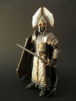 Gondorian Fountain Guard, custom of the toybiz figure, guard of the Citadel. . (Lord of the Rings) Custom Action Figure