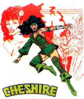 Chesire (DC Universe) Custom Action Figure