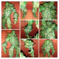Swamp Thing (DC Direct) Custom Action Figure