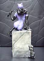 Catwoman (DC Direct) Custom Action Figure