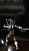 Wolf Predator (Predator) Custom Action Figure