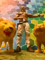 "The Tiger King" Joe Exotic (WWE) Custom Action Figure