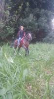 One 12 Scale COWBOY (Western) Custom Action Figure