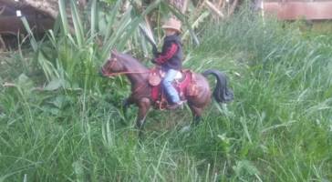 One 12 Scale COWBOY (Western) Custom Action Figure