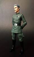 Captain Gilad Pellaeon (Star Wars) Custom Action Figure