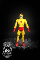 Crimson Avenger & Wing (DC Universe) Custom Action Figure