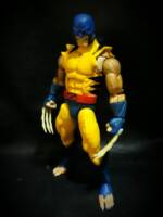 Feral wolverine (Marvel Legends) Custom Action Figure