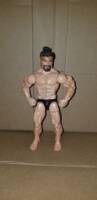Aquaman (Aquaman) Custom Action Figure