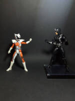 Kat Ranger Lightning collection (Power Rangers) Custom Action Figure