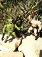 Savage He-Man vintage (Masters of the Universe) Custom Action Figure