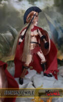 Spartans (Spartacus) Custom Action Figure