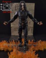 The Crow (Crow) Custom Action Figure