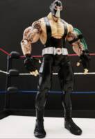 Bane (wrestling style) (DC Universe) Custom Action Figure
