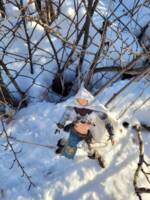 Winter day (Fantasy) Custom Action Figure