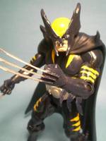 Dark Claw (Amalgam) Custom Action Figure
