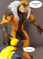 Sabretooth (Marvel Select) Custom Action Figure