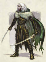 Drizzt Du'Urdan (D&D) (Dungeons and Dragons) Custom Action Figure