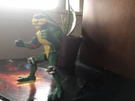 Rash from Battletoads (Battletoads) Custom Action Figure