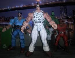 Abigail V.2 (Final Fight) Custom Action Figure