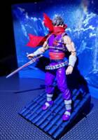 Strider Hiryu (Capcom) Custom Action Figure [STRIDER HIRYU]