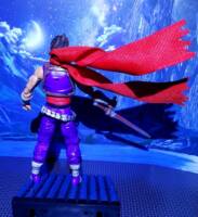 Strider Hiryu (Capcom) Custom Action Figure [STRIDER HIRYU]
