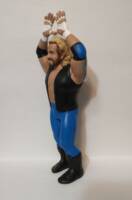 Diamond Dallas Page (Wrestling) Custom Action Figure