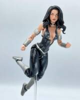 Donna Troy (Teen Titans) Custom Action Figure