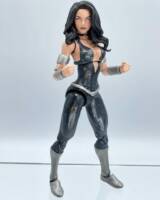 Donna Troy (Teen Titans) Custom Action Figure