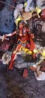 Wonder Woman and her twin Sister Nubia (DC Multiverse) Custom Action Figure