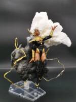 Storm (Hellfire Gala 2021) (Marvel Legends) Custom Action Figure