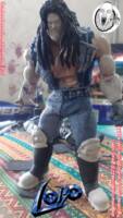 LOBO 2/3 (Clothes and accessories) (DC Universe) Custom Action Figure