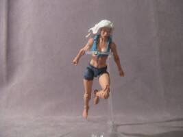 Dolphin (DC Infinite Heroes) Custom Action Figure