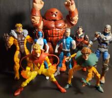 Toad (Marvel Legends) Custom Action Figure
